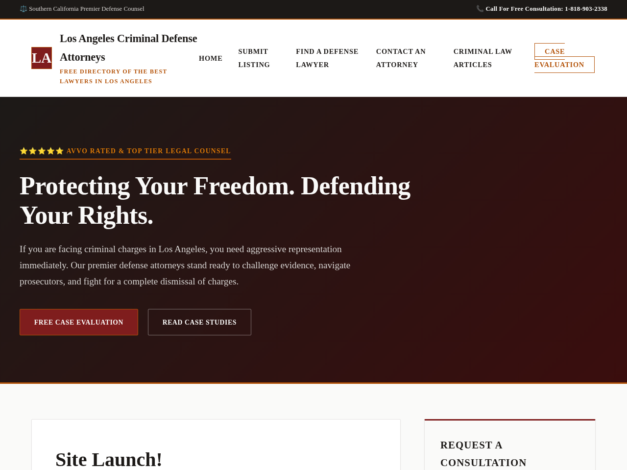 LA Criminal Defense